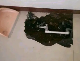 上虞卫生间测漏水多少钱